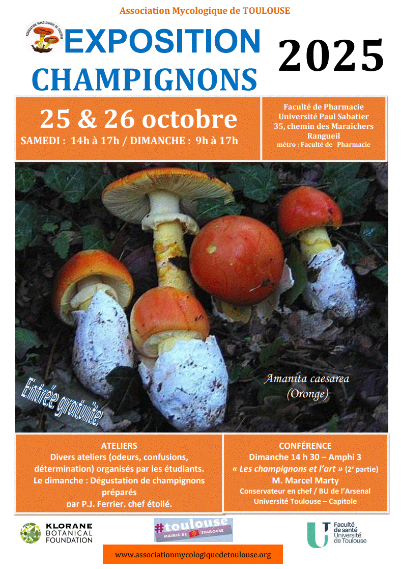 Affiche exposition champignons 2025